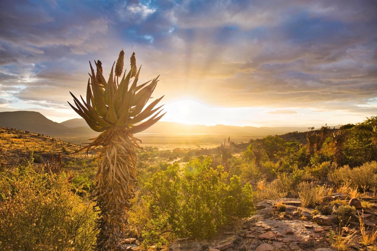 Sunbird Cottage Graaff-Reinet 外观 照片